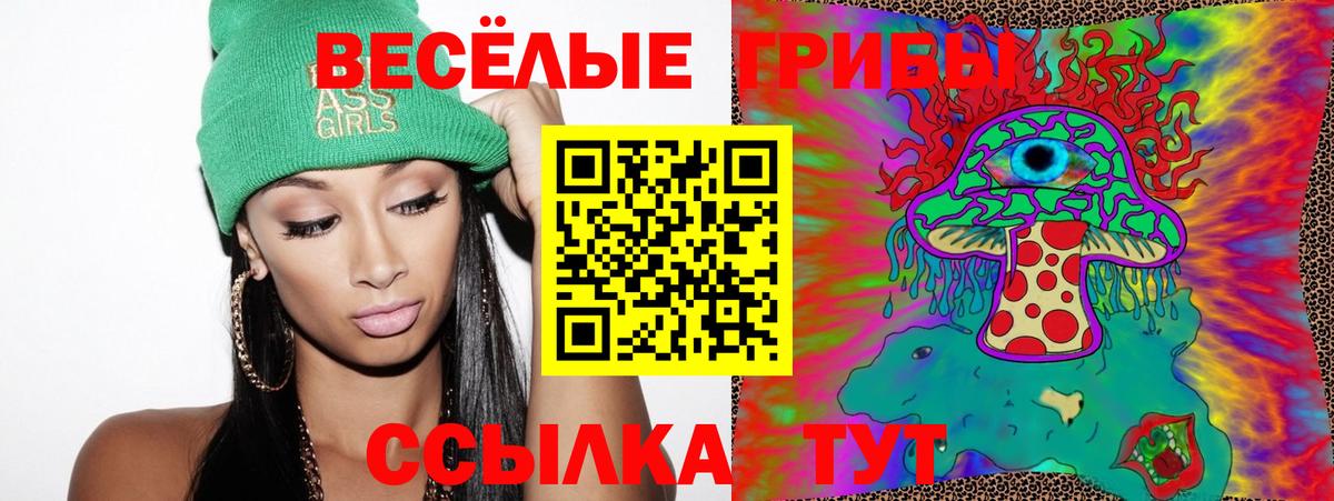 Псилоцибиновые грибы мицелий  Вход с VPN  Брянск  купить  сайты  Галлюциногенные грибы Psilocybe 